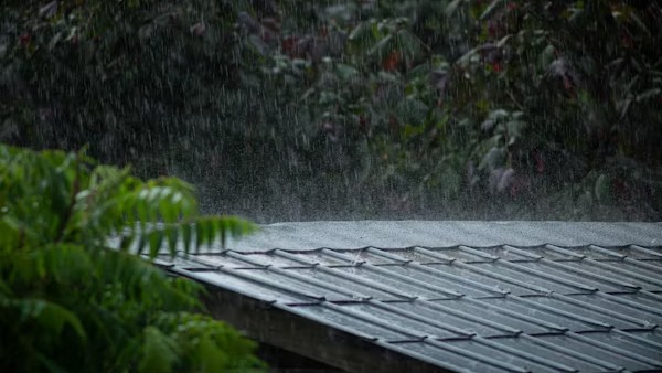 Monsoon Reaches South Bay Of Bengal, Nicobar Islands: IMD