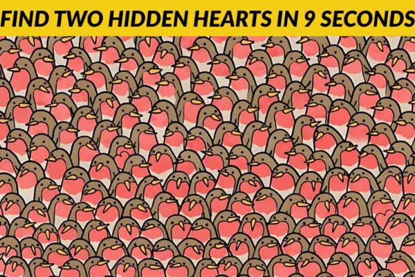 Solely theSE with 20/20 Imaginative and prescient Can Discover The 2 Hidden Hearts Amongst Robins in 9 Seconds!