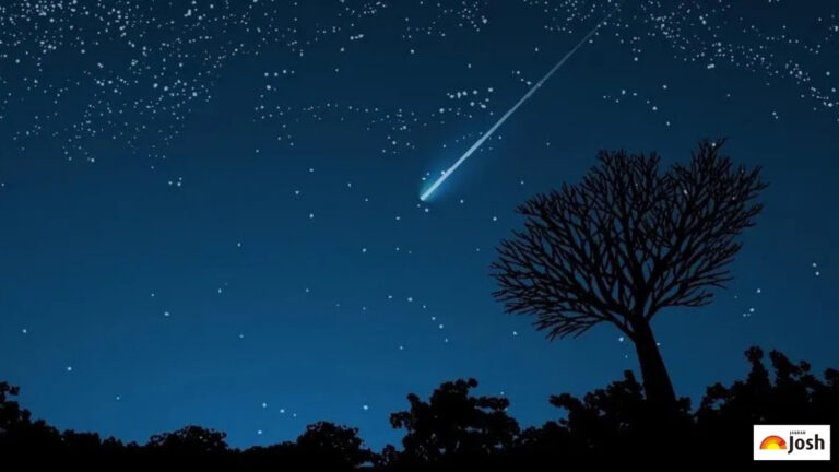 Optimal Viewing Times in the U.S.